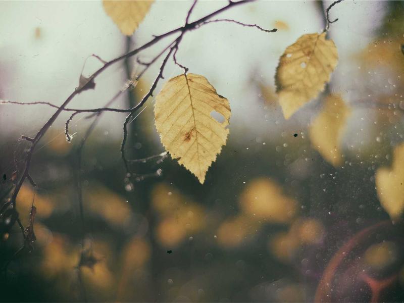 AI 中枢<br>大模型对话与 Prompt 托管